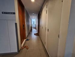 Watertown (D19), Apartment #599189481